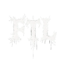 FTL - Face The Limits